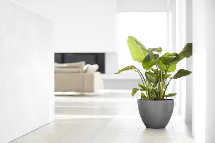 Produktbild Ecopots Antwerp (39.70 x 30 cm)