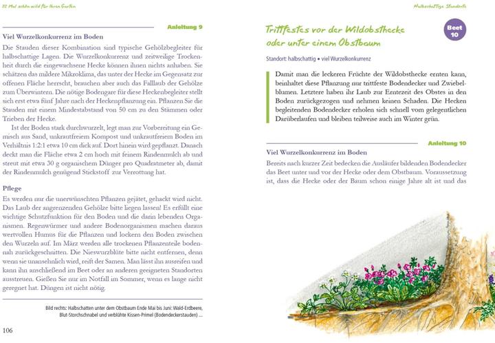 Produktbild Schön wild! (Deutsch, Brigitte Kleinod, 2021)