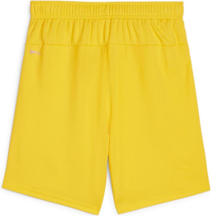 Immagine prodotto Puma Pantaloncini TeamGOAL Jr (164)