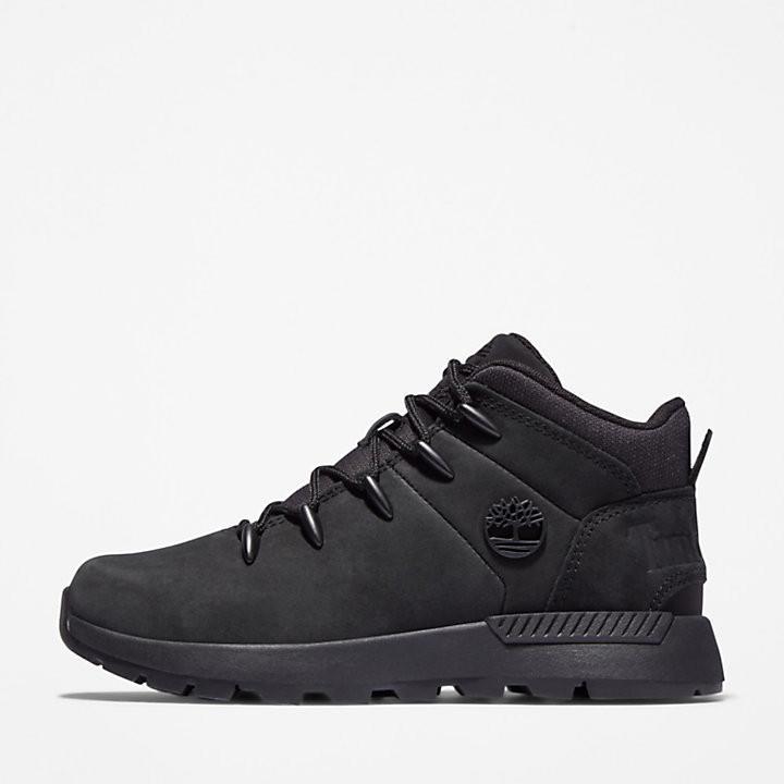 Image du produit Timberland Sneaker (38)