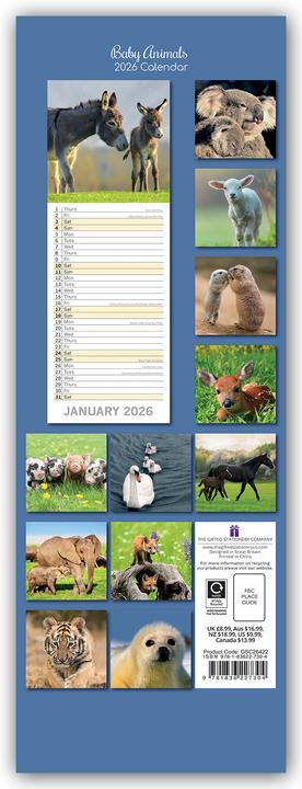 Produktbild Gifted Stationery Co. Ltd:Baby Animals