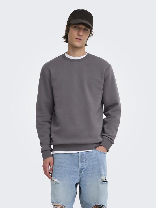 Actual product image Only & Sons Onsceres Crew Neck Noos (S)
