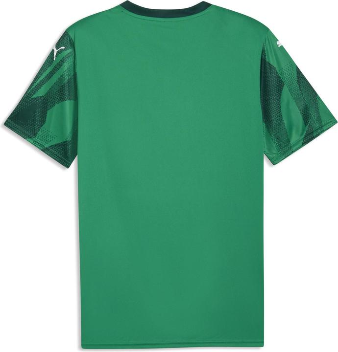 Produktbild Puma teamFINAL Graphic+ Jersey (S)