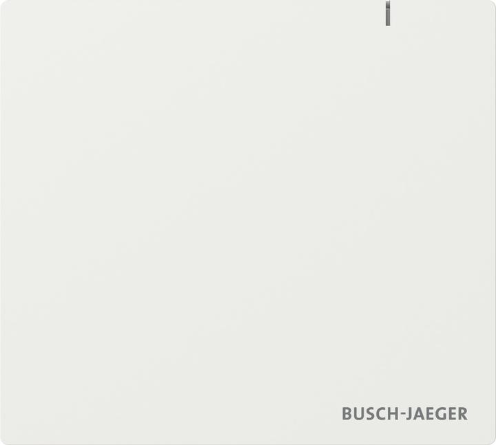 Produktbild Busch-Jaeger Access Point