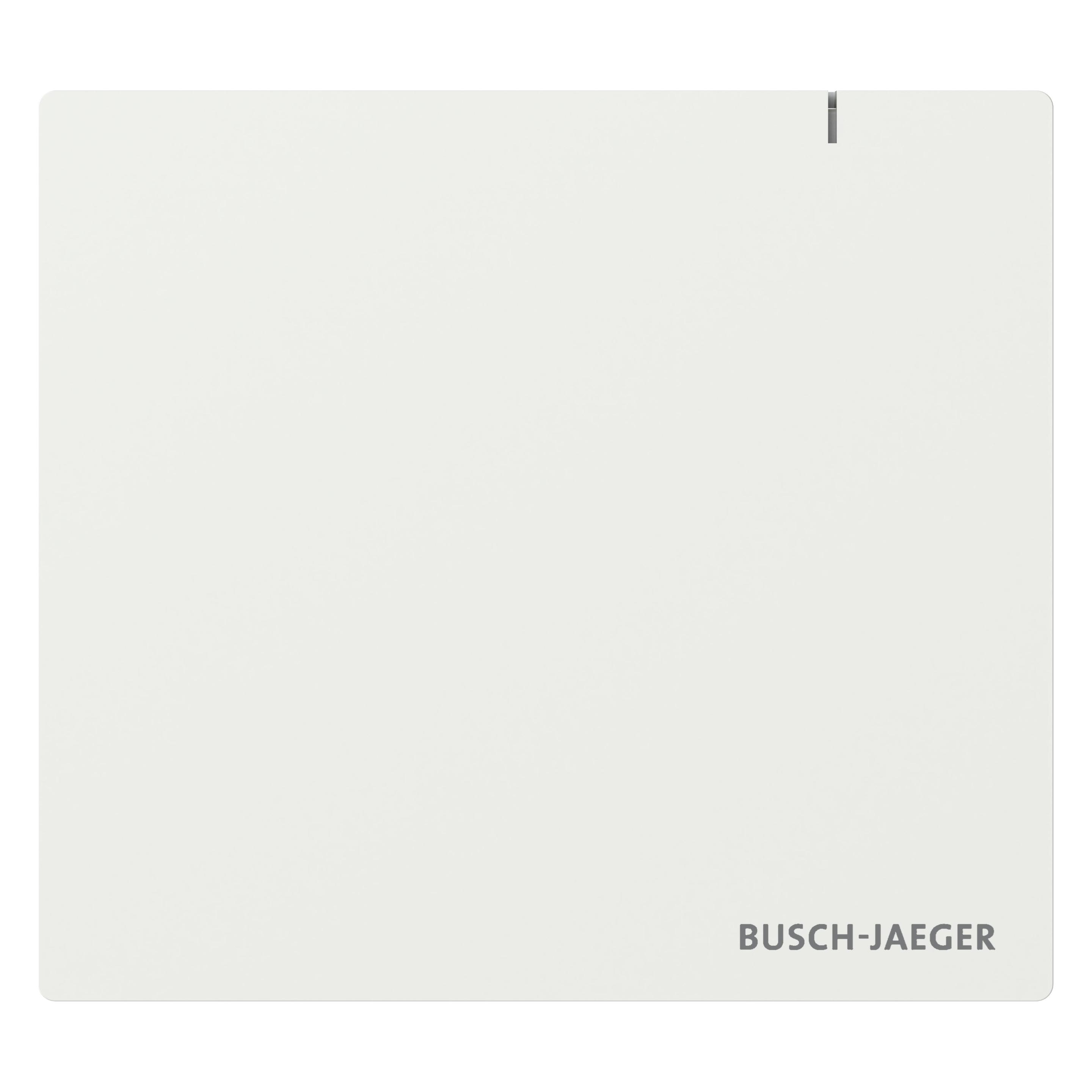 busch jäger system access point wireless