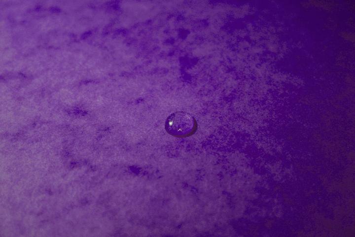 Actual product image Exacompta Stapled file folders (A4, 1 x)