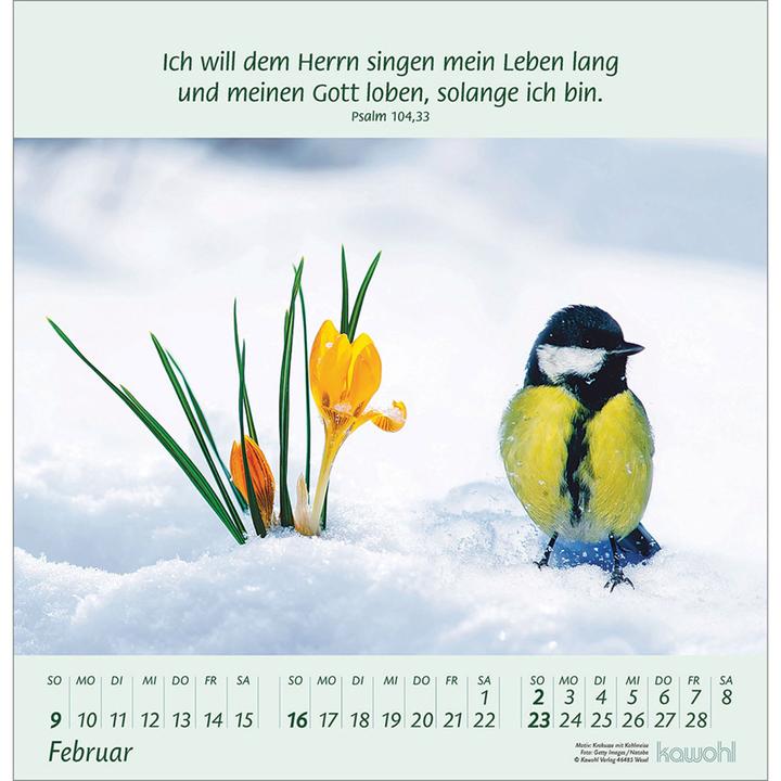 Produktbild Blumengrüsse 2025 (30 x 31 cm, Harter Einband, Deutsch)