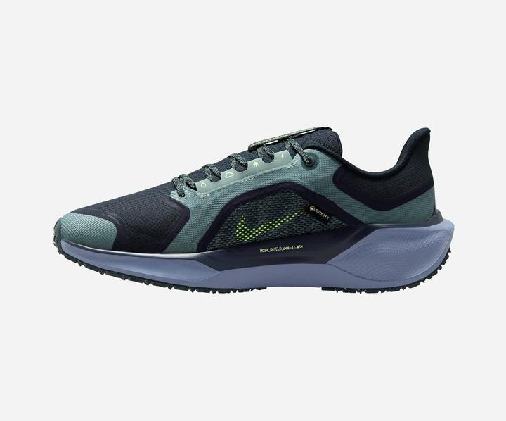 Produktbild Nike Pegasus 41 GORE-TEX (43)