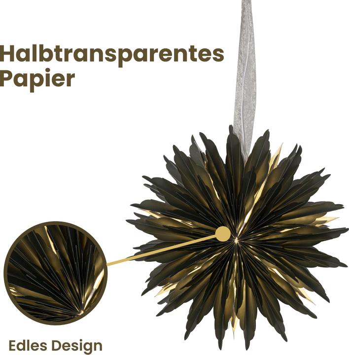 Produktbild Star Trading Papierstern Dis