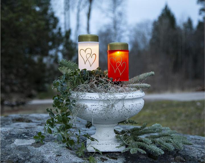 Actual product image Star Trading Hearty