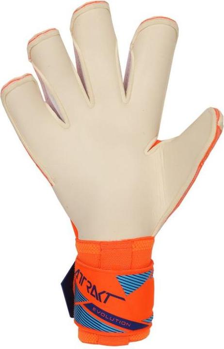 Actual product image Reusch Attrakt Gold X Evolution (9)