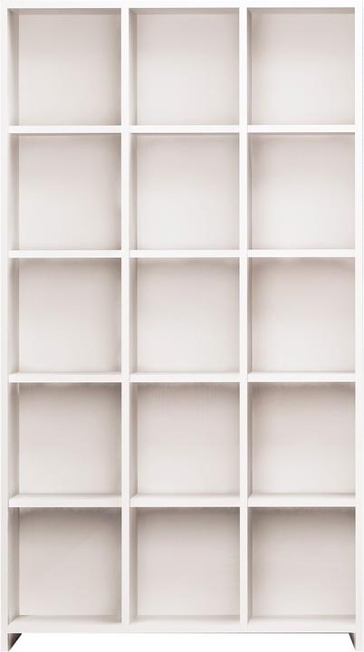 Homitis Tatiana (90 x 25 x 160 cm)