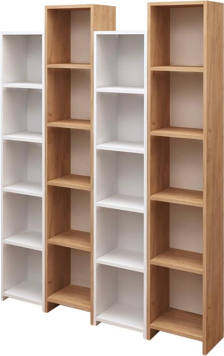 Homitis Thomas (134.40 x 25 x 180 cm)