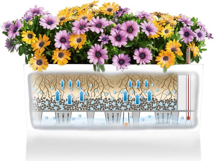 Productafbeelding Lechuza Balconera Kleur (50 x 19 x 19 cm)