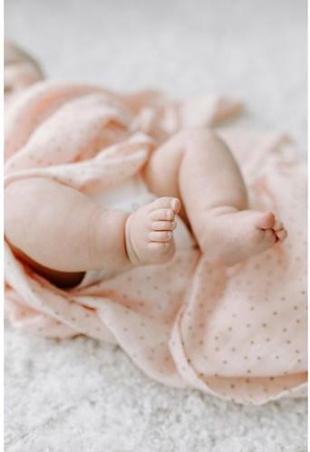 Produktbild aden + anais Swaddles (120 cm, 120 cm)