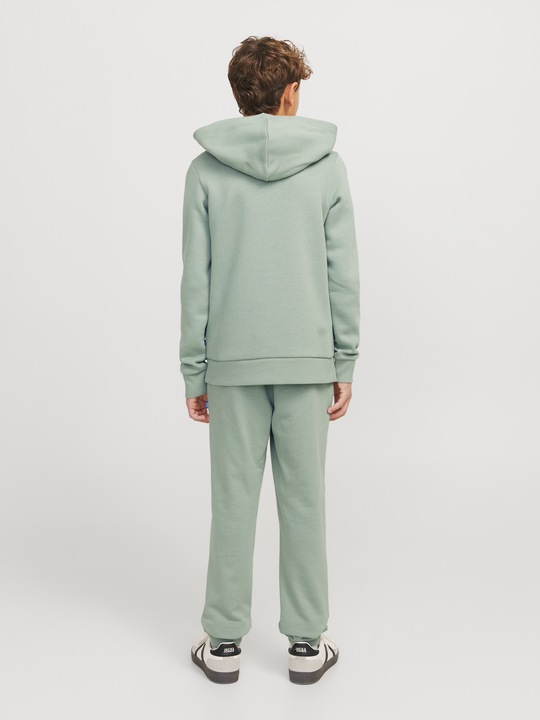 Actual product image Jack & Jones JJELOGO SWEAT HOOD 2 COL 24/25 NOOS JNR (164)