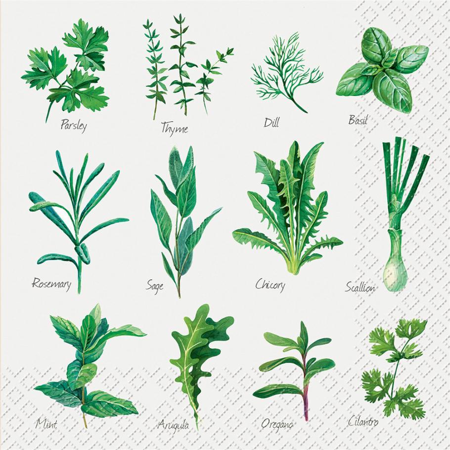 Stewo, Servietten, Herb (20 x, 33 x 33 cm)