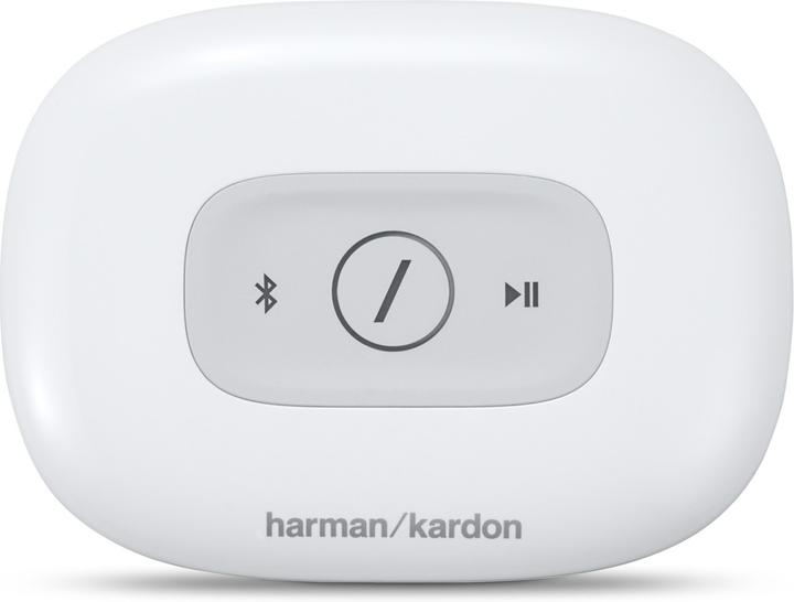Actual product image Harman/Kardon Omni Adapt