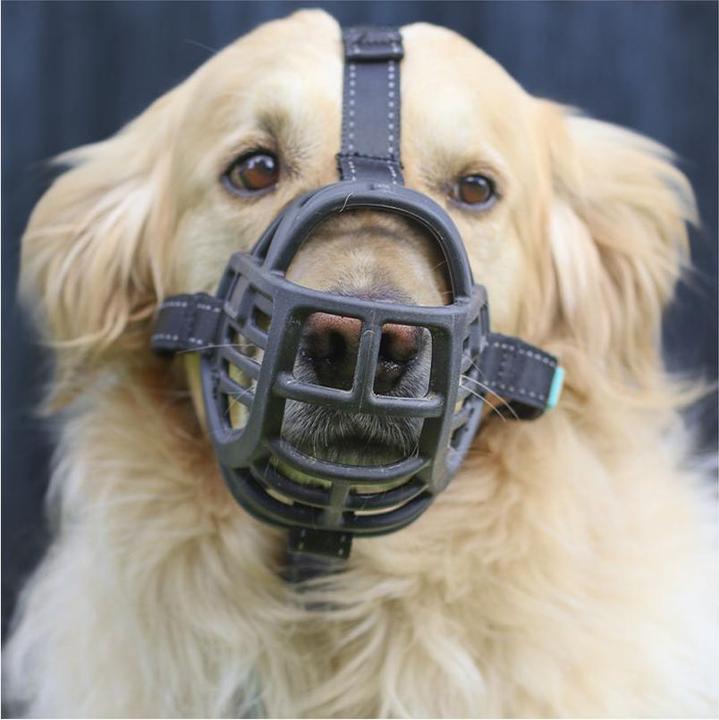 Actual product image Freedog Muzzle Ergo Plus XL (XL, Dog)
