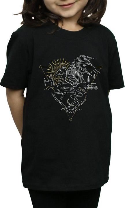 Image du produit - T-shirt THESTRAL LINE ART - Fille (140, 146)