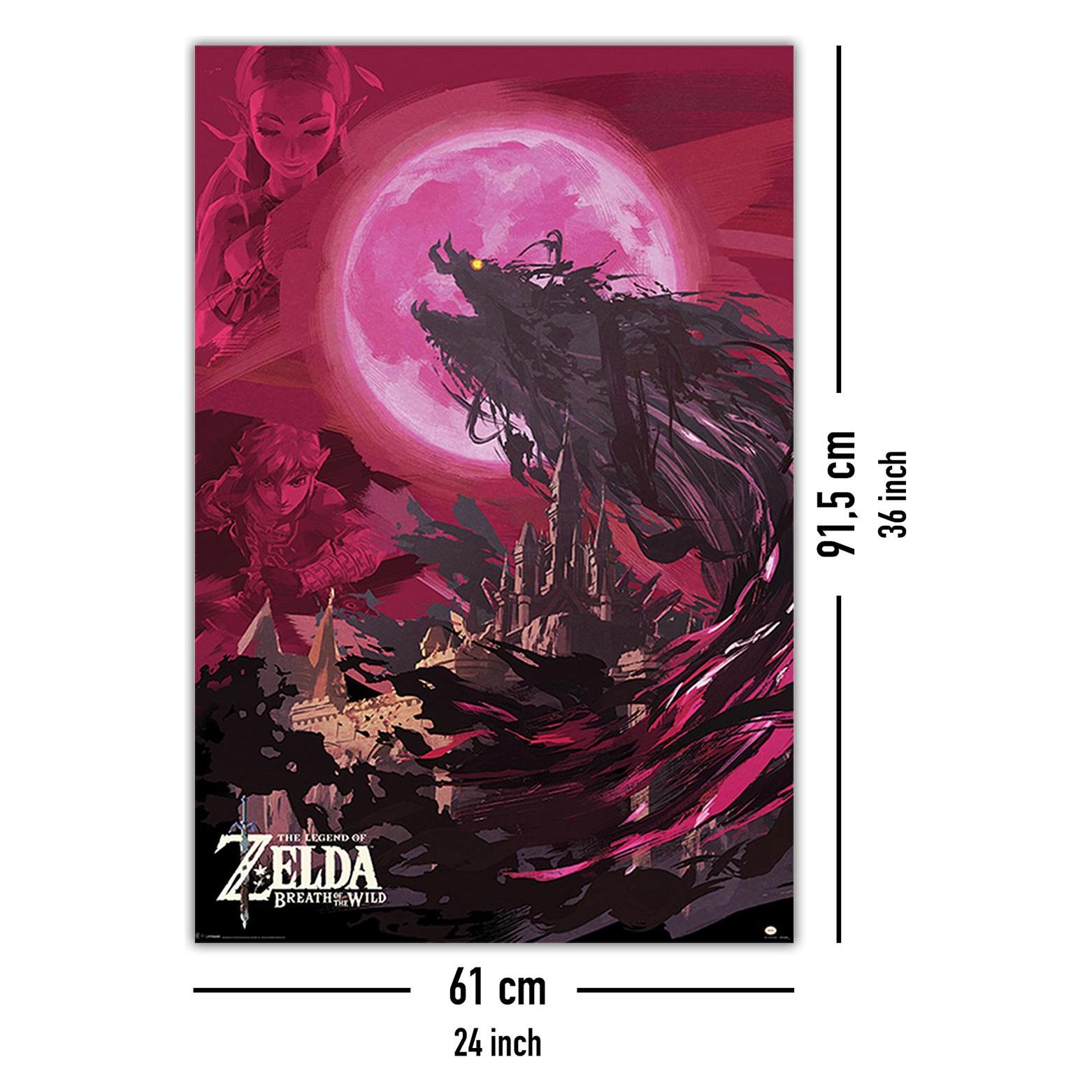 Póster The Legend of Zelda/La Leyenda de Zelda Story of the Hero/La Historia del Héroe (61cm x