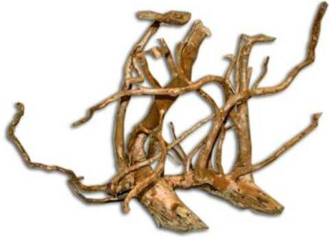 Aquavie Seltene rote Traube XS (Wurzeln, Wurzeln)