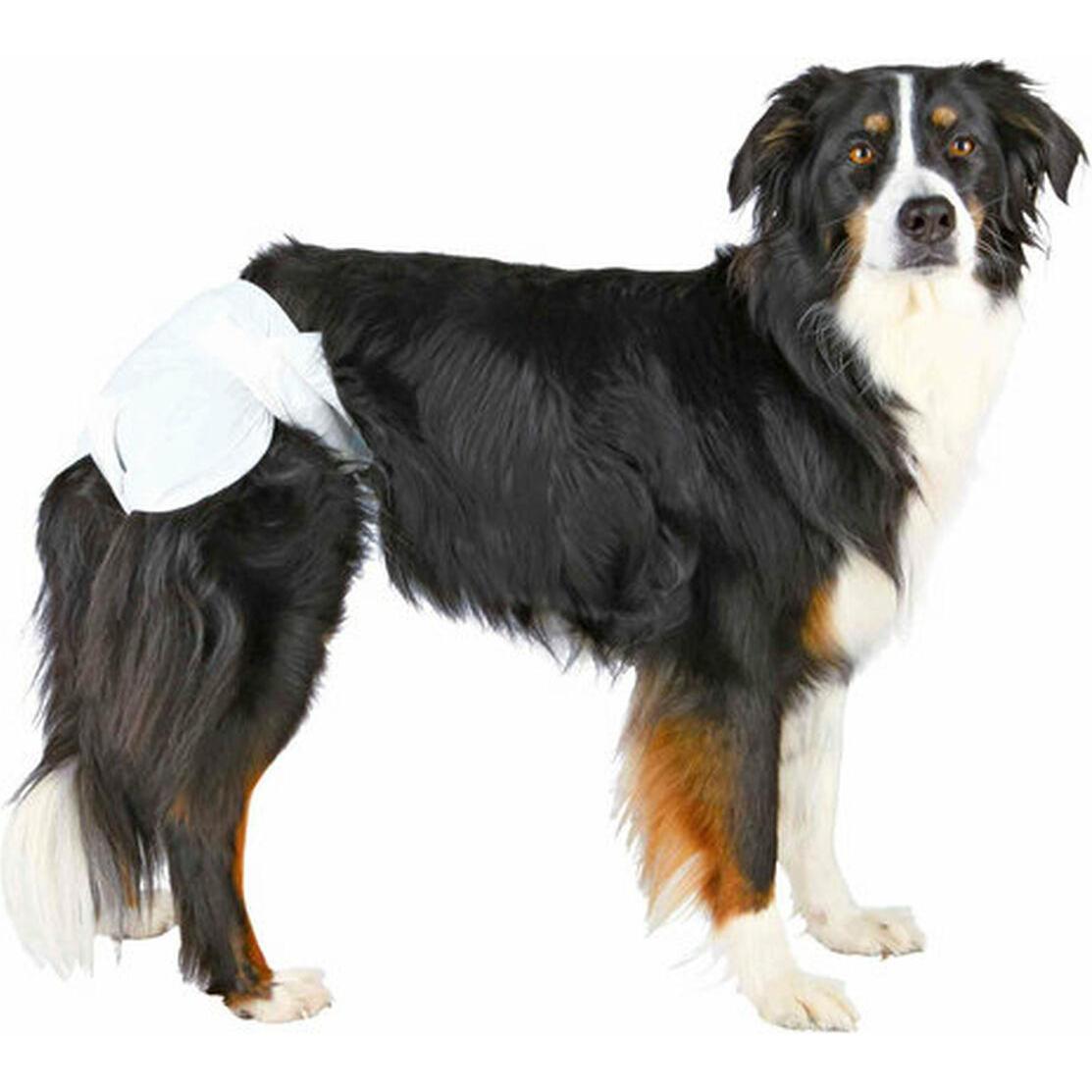 Thumbnail - Trixie Windeln für Hündinnen (Hund), Tierpflegemittel