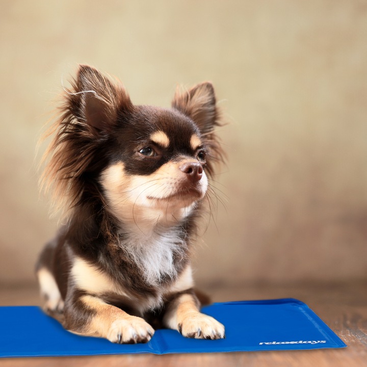 Image du produit Relaxdays Tapis de refroidissement (Chien)