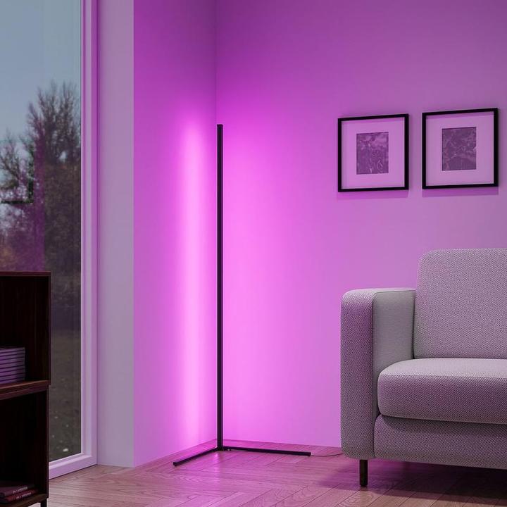 Actual product image Reality level floor lamp - standing lamp - black - incl. 1x LED RGB 10W - Dynamic Light - Integrated