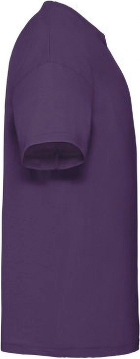 Actual product image Fruit of the Loom Tshirt Short Sleeve (Pack of 2) (164)