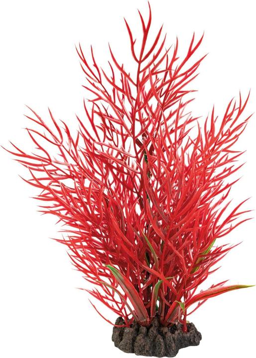 SuperFish Pianta artificiale di Ludwigia, 25 cm (Piante, Piante)