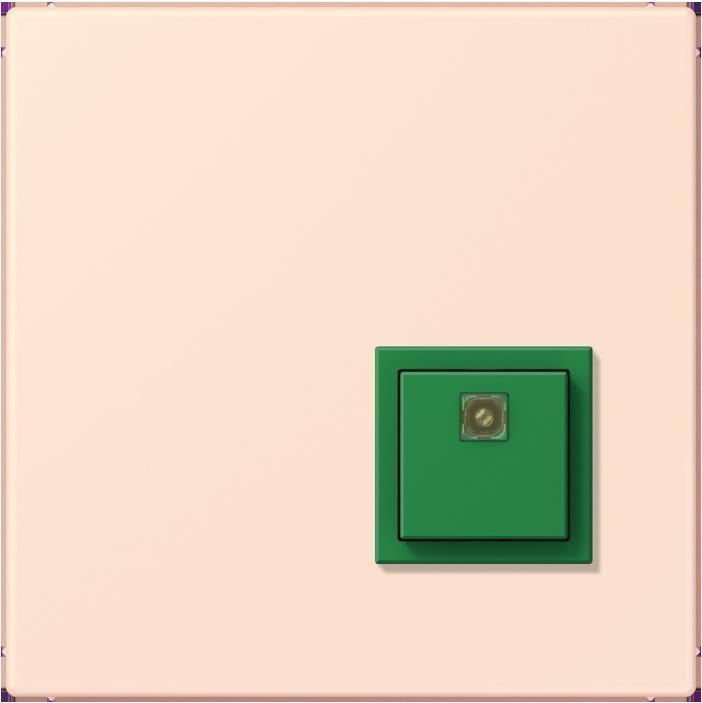 Actual product image JUNG Switch-off button