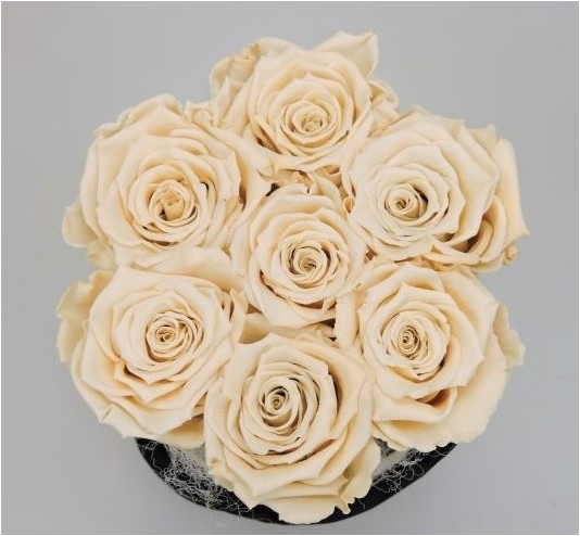 Image du produit Myflower Rosenbox deluxe (Roses stabilisées) (Fleurs à l'infini)