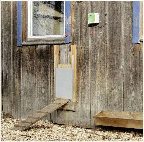 Image du produit Kerbl 70546 Kit de porte automatique pour poulets, y compris porte coulissante, 300 x 400 mm