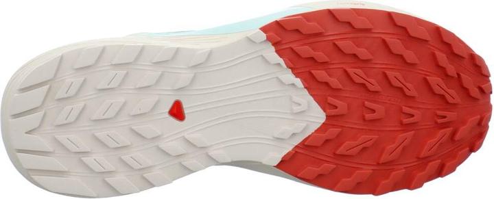 Image du produit Salomon Sense Ride 5 (40)