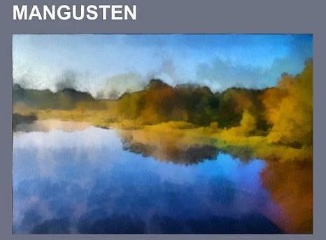 Produktbild Mangusten (Deutsch, Books LLC, 2014)