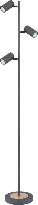Floor lamps