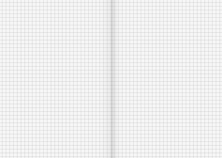 Actual product image Exercise book DIN A5 squared 5 32 sheets (A5, Checked)
