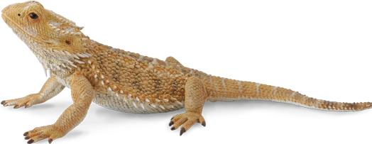 Image du produit Collecta Dragon Lizard