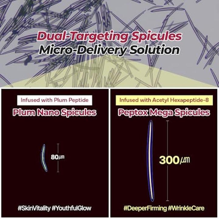 Actual product image Isntree Plum Peptide Booster 2000 Serum 50 ml (50 ml)