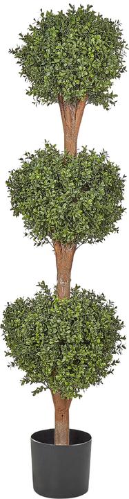 Immagine prodotto Beliani Buxus Ball Tree (154 cm)