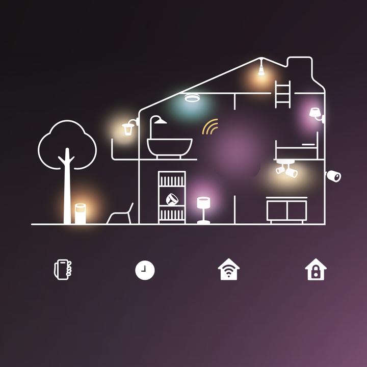 Actual product image Philips Essential Flex Gradient Lighstrip (Cold White, RGBIC, Warm white, 1000 cm, Indoor)