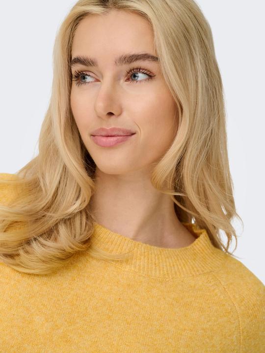 Actual product image Only ONLRICA Strickpullover Strickpullover (M)