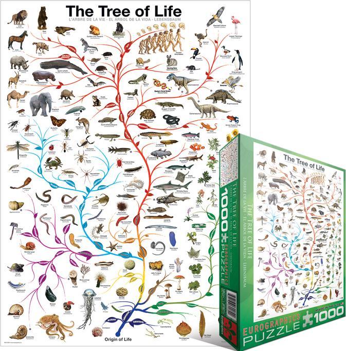 Produktbild Eurographics Der Lebensbaum (1000 Teile)