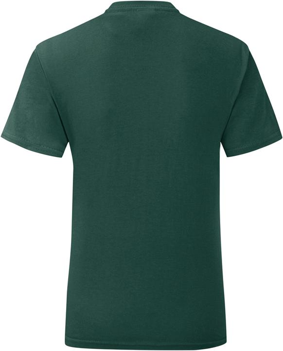 Produktbild Fruit of the Loom UTPC4369 P (3XL)