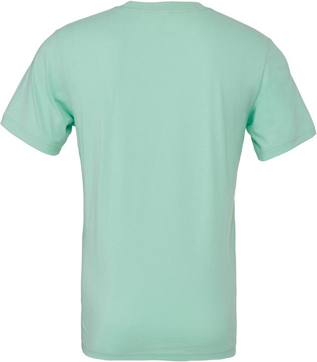 Produktbild Bella Canvas CVC TShirt Erwachsene (L)