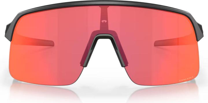 Carbone mat, Torche de trail Prizm