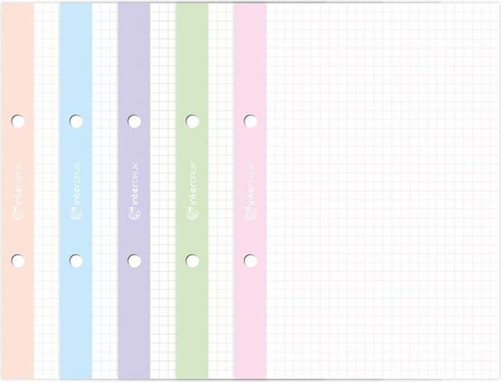 Image du produit Interdruk Insert pour classeur A5, Lux quadrillé avec onglets de couleur