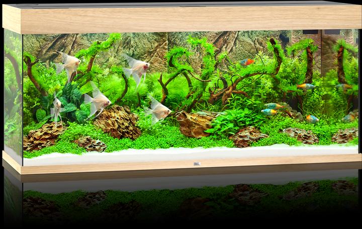 Immagine prodotto Juwel Aquarium Rio (240 l)