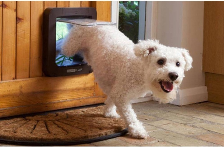 Productafbeelding SureFlap Pet flap microchip (Microchip kattenluikje)